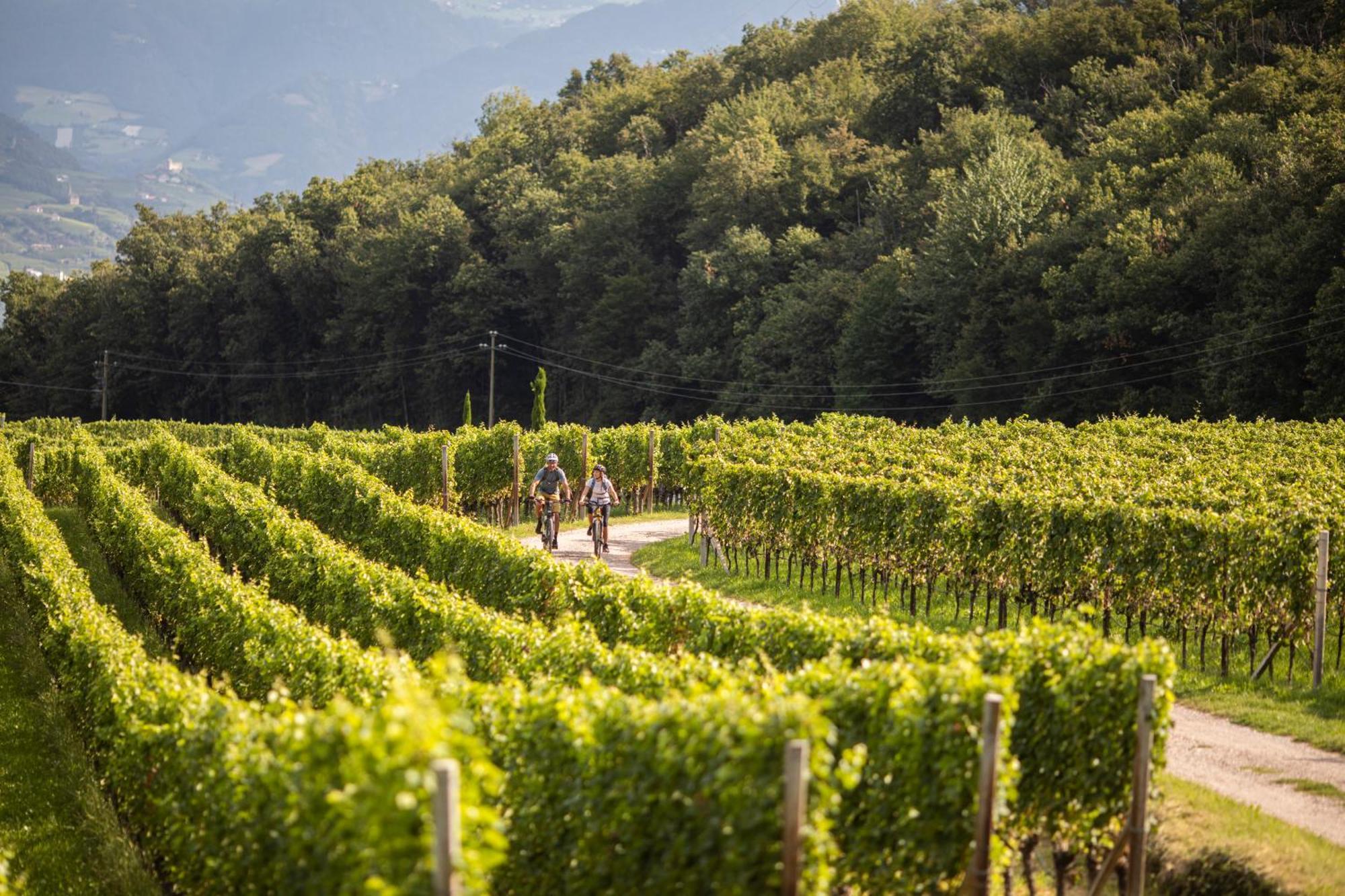 Belia Lofts - Adults Only - Apartments Appiano Sulla Strada Del Vino Kültér fotó
