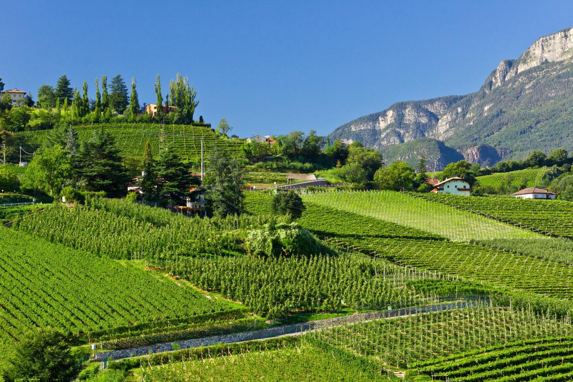 Belia Lofts - Adults Only - Apartments Appiano Sulla Strada Del Vino Kültér fotó