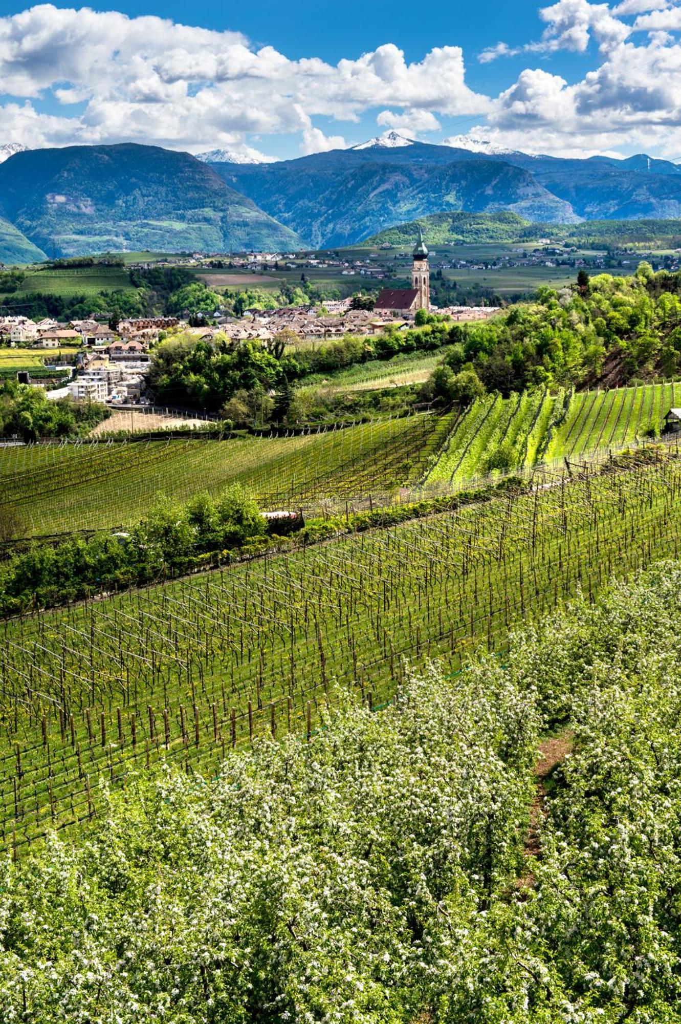 Belia Lofts - Adults Only - Apartments Appiano Sulla Strada Del Vino Kültér fotó